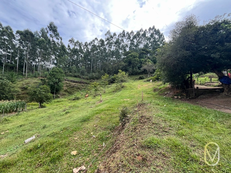 Terreno de 23.8 hectares á Venda São Martinho-SC: 42ª foto da galeria de imagens do imóvel