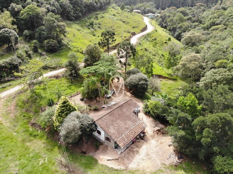 Terreno de 23.8 hectares á Venda São Martinho-SC: 7ª foto da galeria de imagens do imóvel