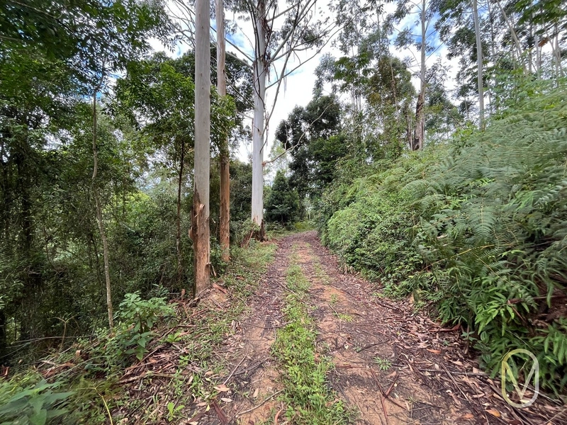 Terreno de 23.8 hectares á Venda São Martinho-SC: 50ª foto da galeria de imagens do imóvel