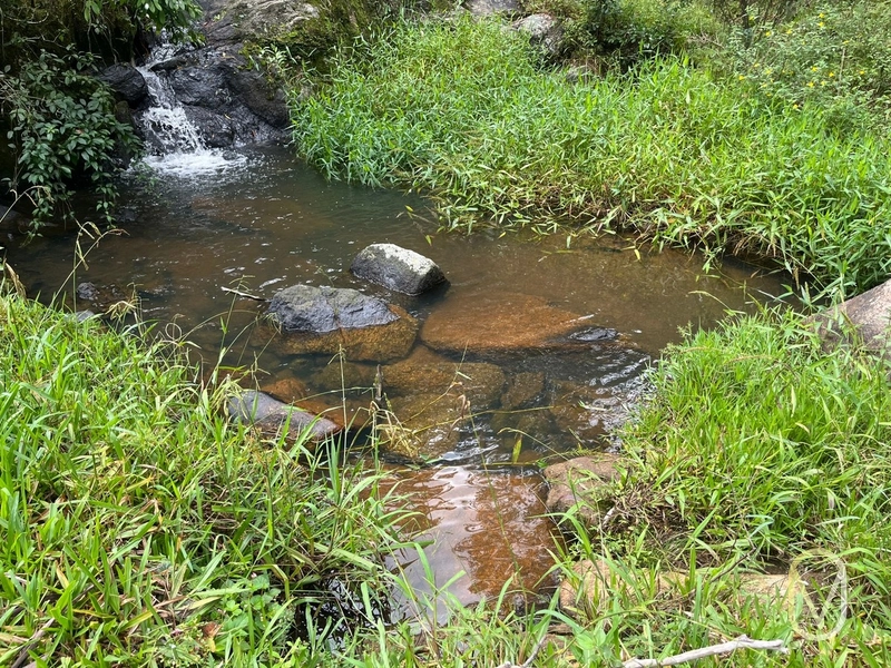 Terreno de 23.8 hectares á Venda São Martinho-SC: 24ª foto da galeria de imagens do imóvel