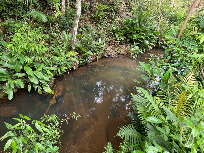 Terreno de 23.8 hectares á Venda São Martinho-SC: 27ª foto da galeria de imagens do imóvel