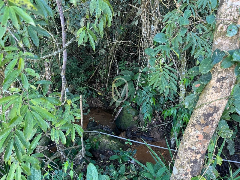Terreno de 24 hec á Venda bairro Bom Jesus em Armazém-SC: 18ª foto da galeria de imagens do imóvel
