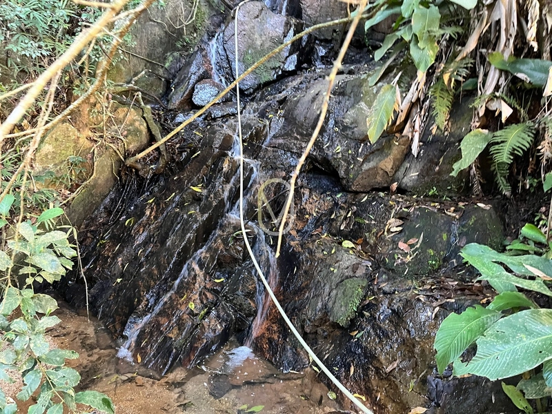 Terreno de 24 hec á Venda bairro Bom Jesus em Armazém-SC: 9ª foto da galeria de imagens do imóvel