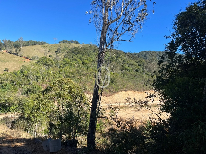 Terreno de 24 hec á Venda bairro Bom Jesus em Armazém-SC: 37ª foto da galeria de imagens do imóvel