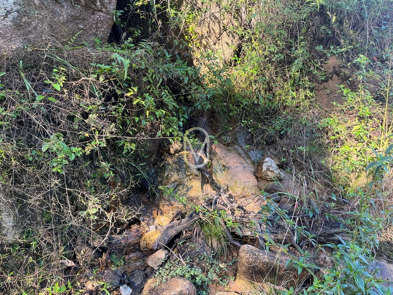 Terreno de 24 hec á Venda bairro Bom Jesus em Armazém-SC: 33ª foto da galeria de imagens do imóvel