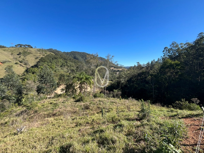 Terreno de 24 hec á Venda bairro Bom Jesus em Armazém-SC: 26ª foto da galeria de imagens do imóvel