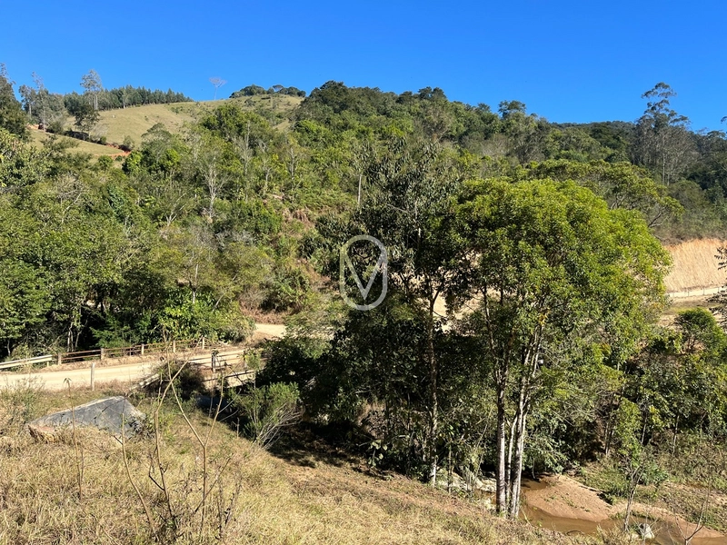 Terreno de 24 hec á Venda bairro Bom Jesus em Armazém-SC: 41ª foto da galeria de imagens do imóvel