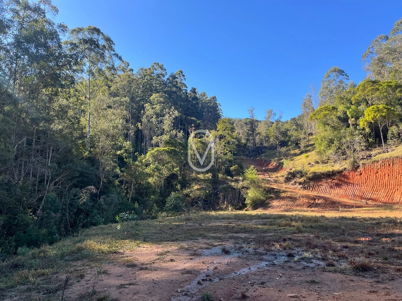 Terreno de 24 hec á Venda bairro Bom Jesus em Armazém-SC: 22ª foto da galeria de imagens do imóvel