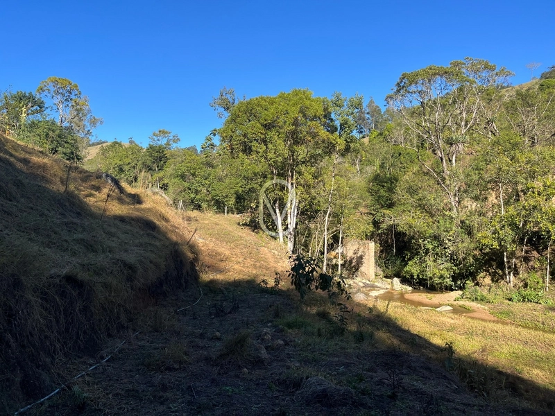 Terreno de 24 hec á Venda bairro Bom Jesus em Armazém-SC: 15ª foto da galeria de imagens do imóvel