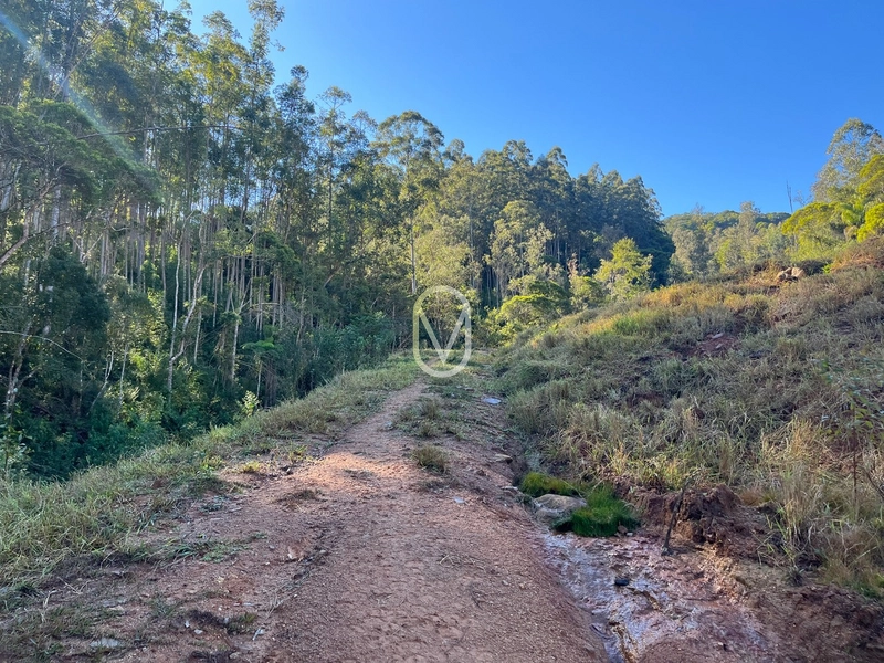 Terreno de 24 hec á Venda bairro Bom Jesus em Armazém-SC: 20ª foto da galeria de imagens do imóvel