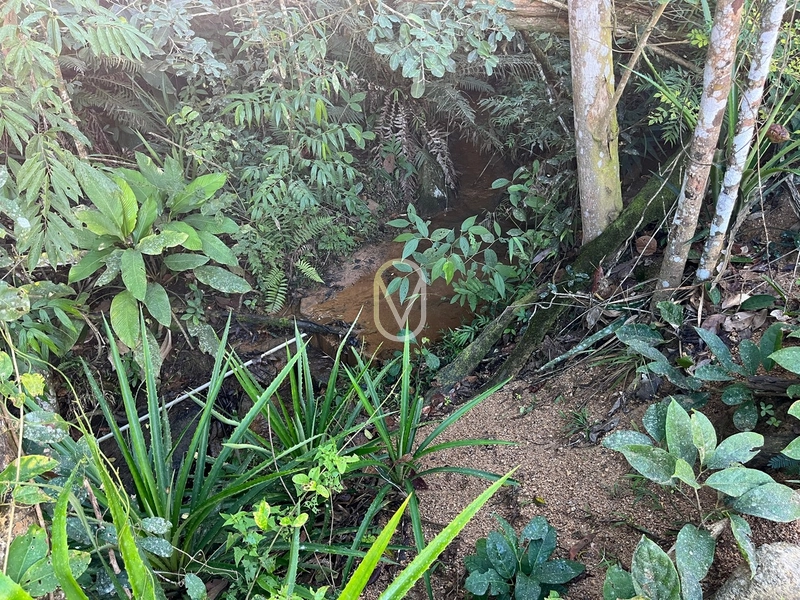 Terreno de 24 hec á Venda bairro Bom Jesus em Armazém-SC: 17ª foto da galeria de imagens do imóvel
