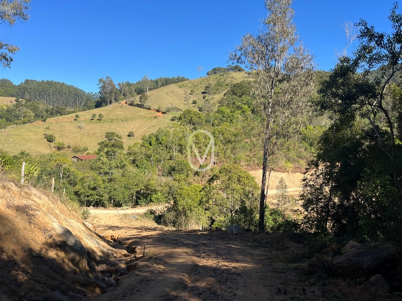Terreno de 24 hec á Venda bairro Bom Jesus em Armazém-SC: 35ª foto da galeria de imagens do imóvel