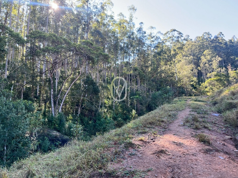 Terreno de 24 hec á Venda bairro Bom Jesus em Armazém-SC: 21ª foto da galeria de imagens do imóvel
