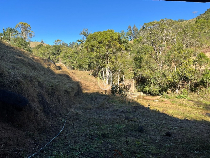 Terreno de 24 hec á Venda bairro Bom Jesus em Armazém-SC: 12ª foto da galeria de imagens do imóvel