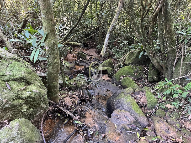 Terreno de 24 hec á Venda bairro Bom Jesus em Armazém-SC: 10ª foto da galeria de imagens do imóvel