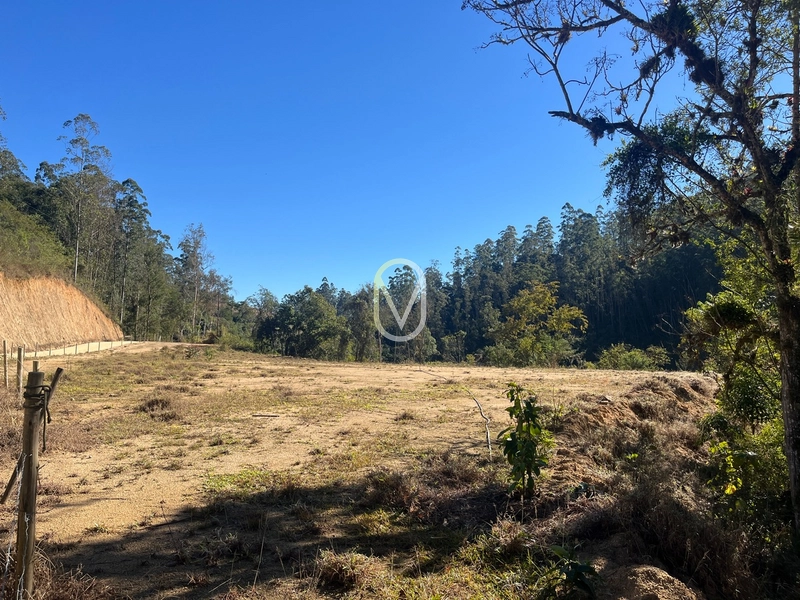 Terreno de 24 hec á Venda bairro Bom Jesus em Armazém-SC: 2ª foto da galeria de imagens do imóvel