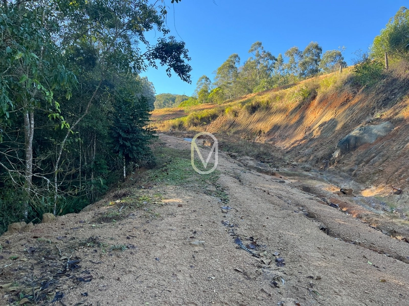 Terreno de 24 hec á Venda bairro Bom Jesus em Armazém-SC: 19ª foto da galeria de imagens do imóvel