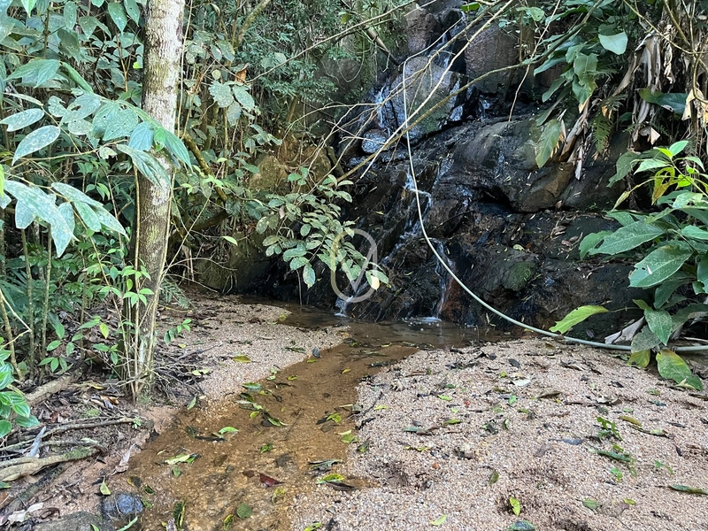 Terreno de 24 hec á Venda bairro Bom Jesus em Armazém-SC: 8ª foto da galeria de imagens do imóvel