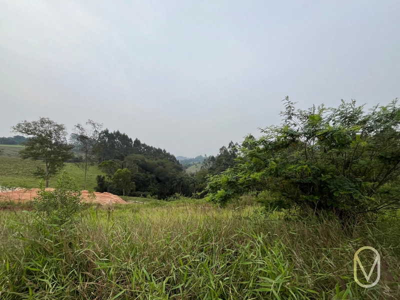 Lote á Venda em Braço do Norte-SC: 11ª foto da galeria de imagens do imóvel