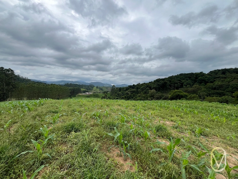 Terreno de 2 hectares á Venda no bairro Alemanha em Armazém-SC: 31ª foto da galeria de imagens do imóvel