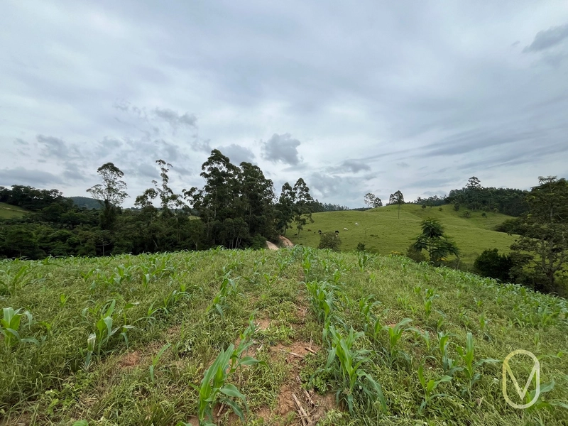 Terreno de 2 hectares á Venda no bairro Alemanha em Armazém-SC: 32ª foto da galeria de imagens do imóvel