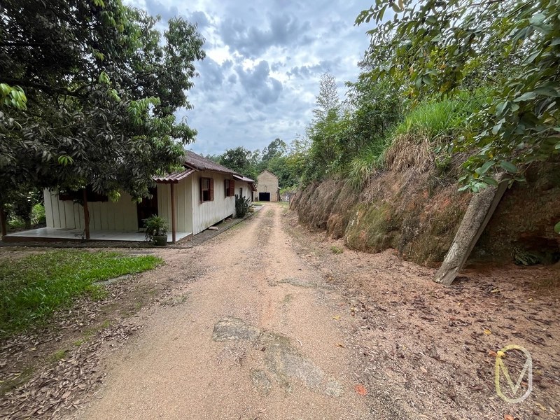 Terreno de 2 hectares á Venda no bairro Alemanha em Armazém-SC: 10ª foto da galeria de imagens do imóvel