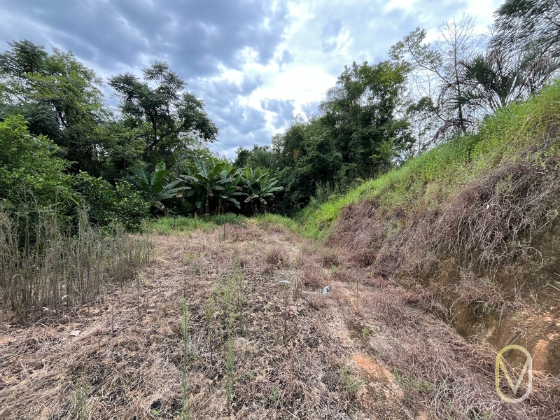 Terreno de 2 hectares á Venda no bairro Alemanha em Armazém-SC: 22ª foto da galeria de imagens do imóvel