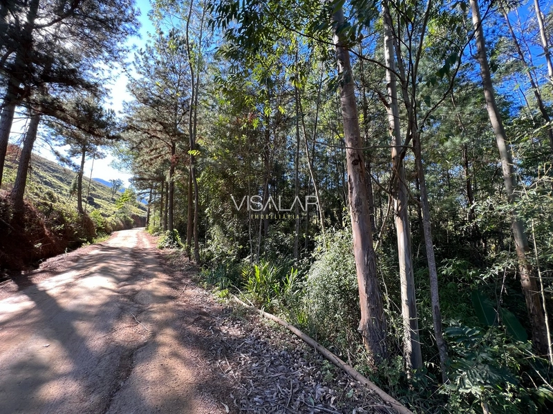 TERRENO DE 2 HECTARES A VENDA - VARGEM DO CEDRO - SÃO MARTINHO/SC: 1ª foto da galeria de imagens do imóvel