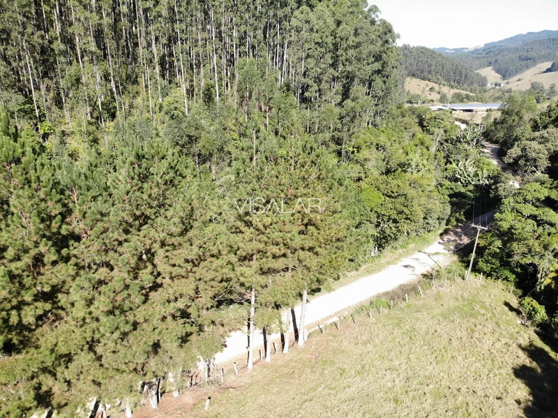 TERRENO DE 2 HECTARES A VENDA - VARGEM DO CEDRO - SÃO MARTINHO/SC: 9ª foto da galeria de imagens do imóvel