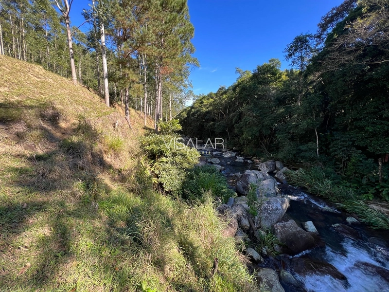 TERRENO DE 2 HECTARES A VENDA - VARGEM DO CEDRO - SÃO MARTINHO/SC: 4ª foto da galeria de imagens do imóvel