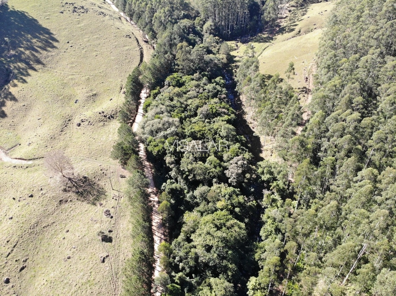 TERRENO DE 2 HECTARES A VENDA - VARGEM DO CEDRO - SÃO MARTINHO/SC: 6ª foto da galeria de imagens do imóvel