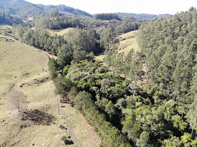 TERRENO DE 2 HECTARES A VENDA - VARGEM DO CEDRO - SÃO MARTINHO/SC: 7ª foto da galeria de imagens do imóvel