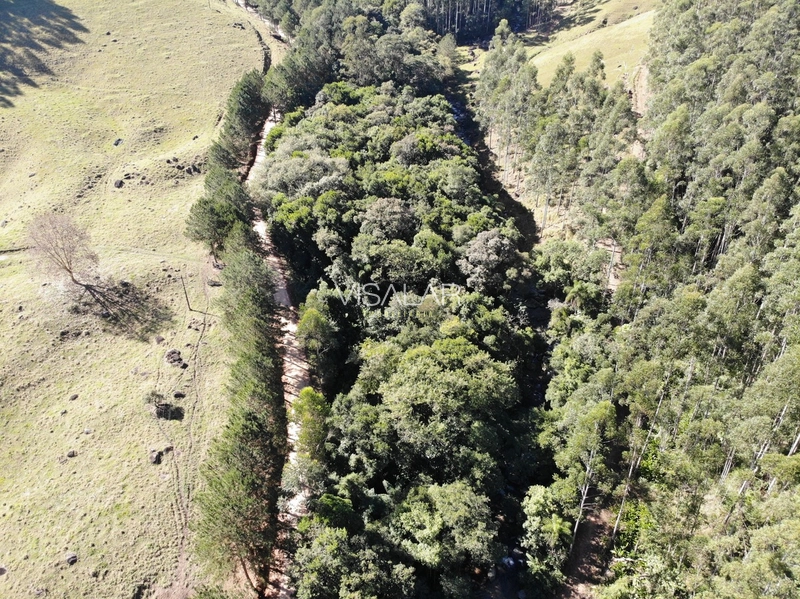 TERRENO DE 2 HECTARES A VENDA - VARGEM DO CEDRO - SÃO MARTINHO/SC: 2ª foto da galeria de imagens do imóvel