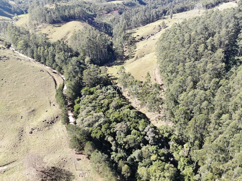 TERRENO DE 2 HECTARES A VENDA - VARGEM DO CEDRO - SÃO MARTINHO/SC: 10ª foto da galeria de imagens do imóvel