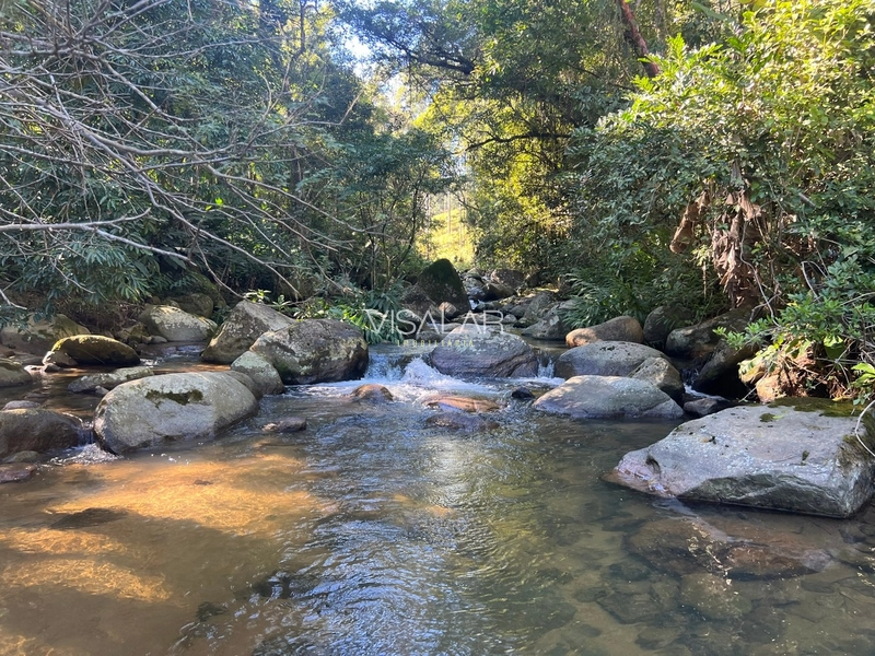 TERRENO DE 2 HECTARES A VENDA - VARGEM DO CEDRO - SÃO MARTINHO/SC: 3ª foto da galeria de imagens do imóvel