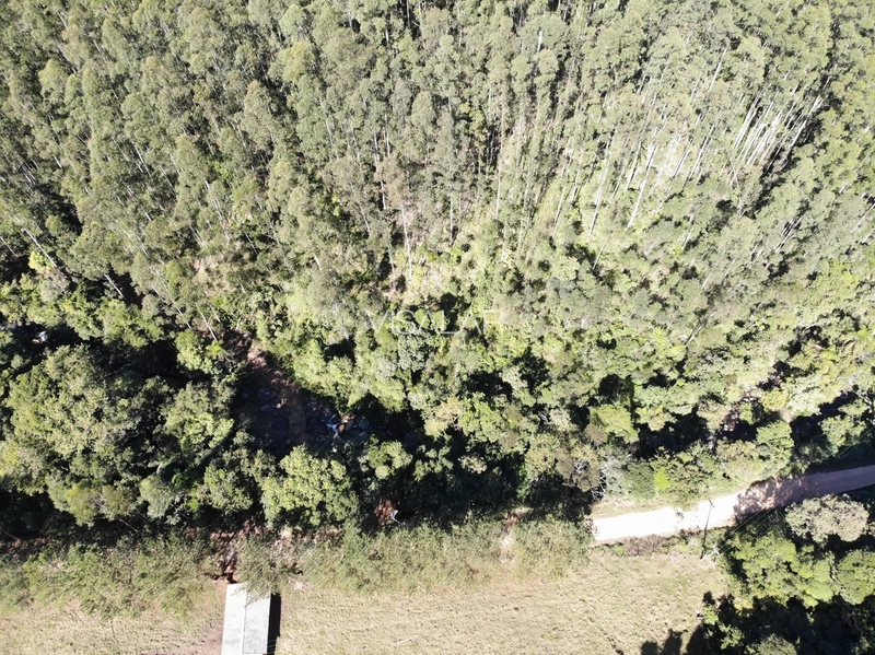 TERRENO DE 2 HECTARES A VENDA - VARGEM DO CEDRO - SÃO MARTINHO/SC: 8ª foto da galeria de imagens do imóvel
