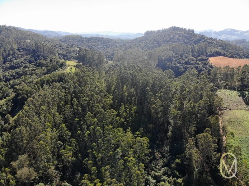 Terreno de 41 hectares á Venda em São Martinho-SC: 47ª foto da galeria de imagens do imóvel
