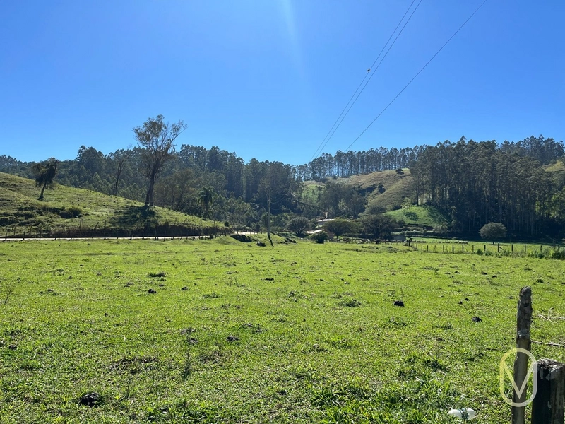 Terreno de 41 hectares á Venda em São Martinho-SC: 23ª foto da galeria de imagens do imóvel
