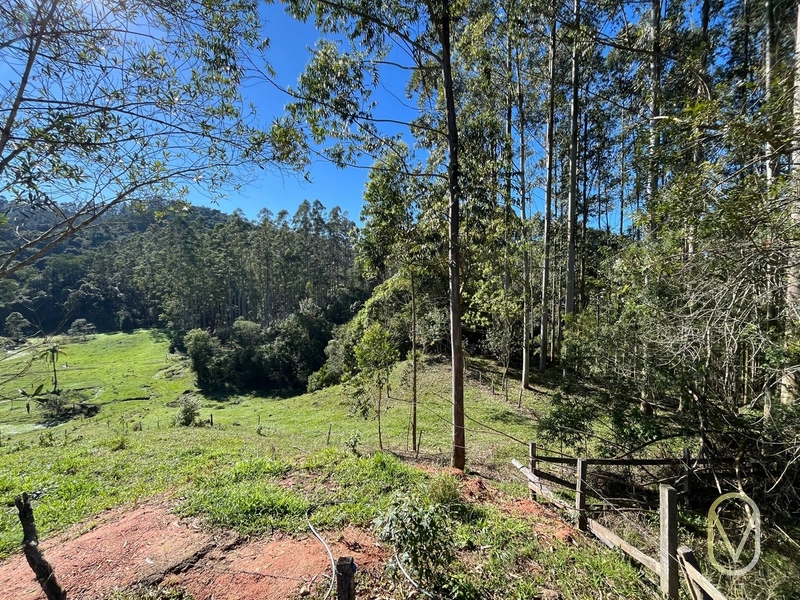 Terreno de 41 hectares á Venda em São Martinho-SC: 45ª foto da galeria de imagens do imóvel