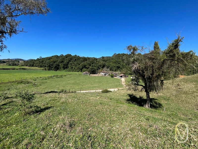 Terreno de 41 hectares á Venda em São Martinho-SC: 37ª foto da galeria de imagens do imóvel