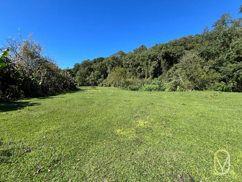 Terreno de 41 hectares á Venda em São Martinho-SC: 29ª foto da galeria de imagens do imóvel