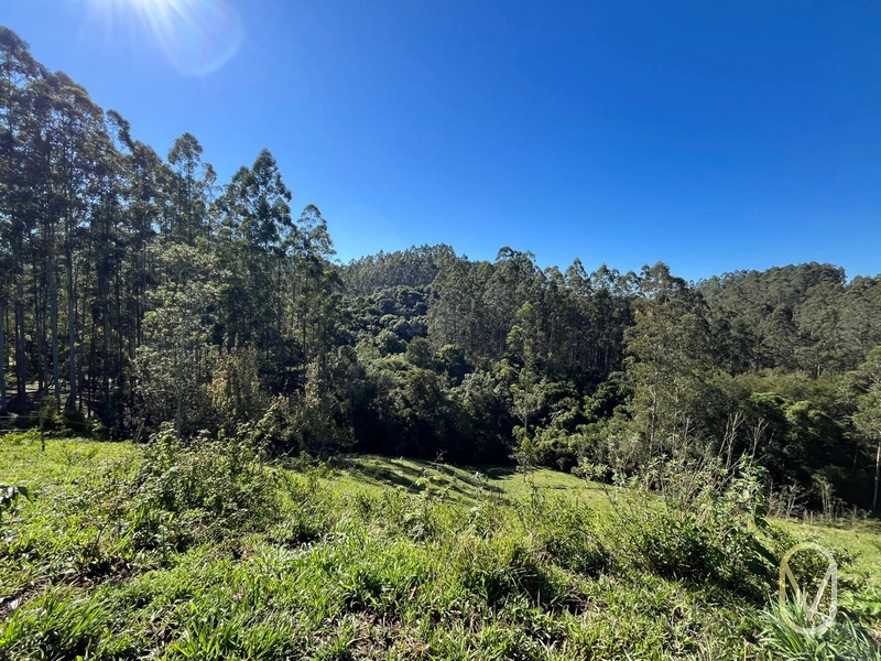 Terreno de 41 hectares á Venda em São Martinho-SC: 42ª foto da galeria de imagens do imóvel