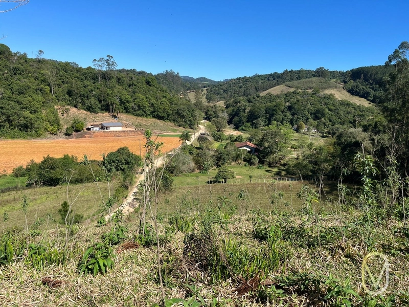 Terreno de 41 hectares á Venda em São Martinho-SC: 35ª foto da galeria de imagens do imóvel