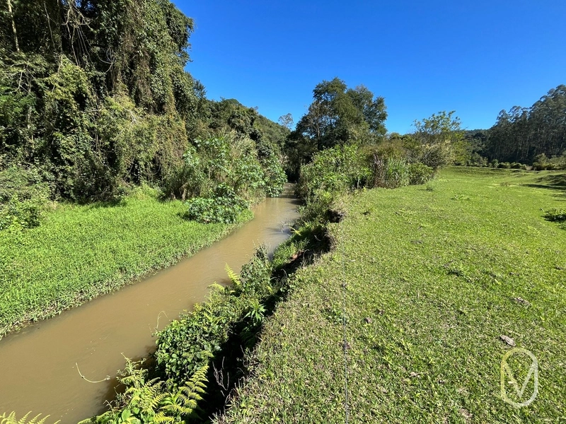 Terreno de 41 hectares á Venda em São Martinho-SC: 26ª foto da galeria de imagens do imóvel