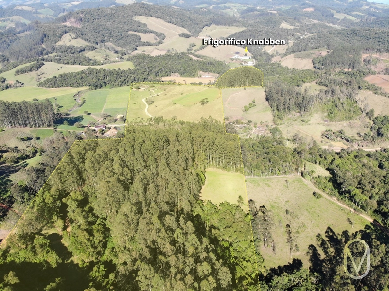Terreno de 41 hectares á Venda em São Martinho-SC: 1ª foto da galeria de imagens do imóvel