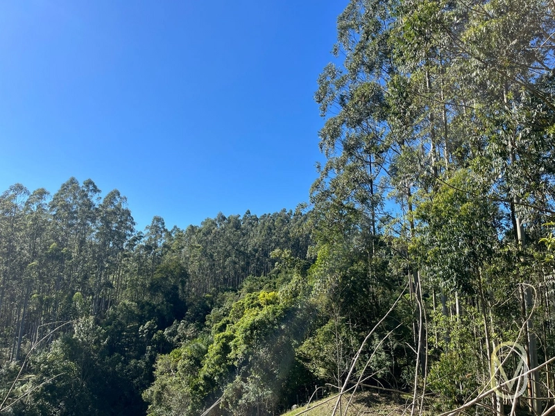 Terreno de 41 hectares á Venda em São Martinho-SC: 46ª foto da galeria de imagens do imóvel