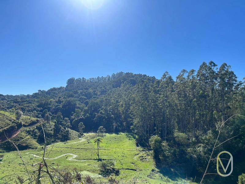 Terreno de 41 hectares á Venda em São Martinho-SC: 44ª foto da galeria de imagens do imóvel