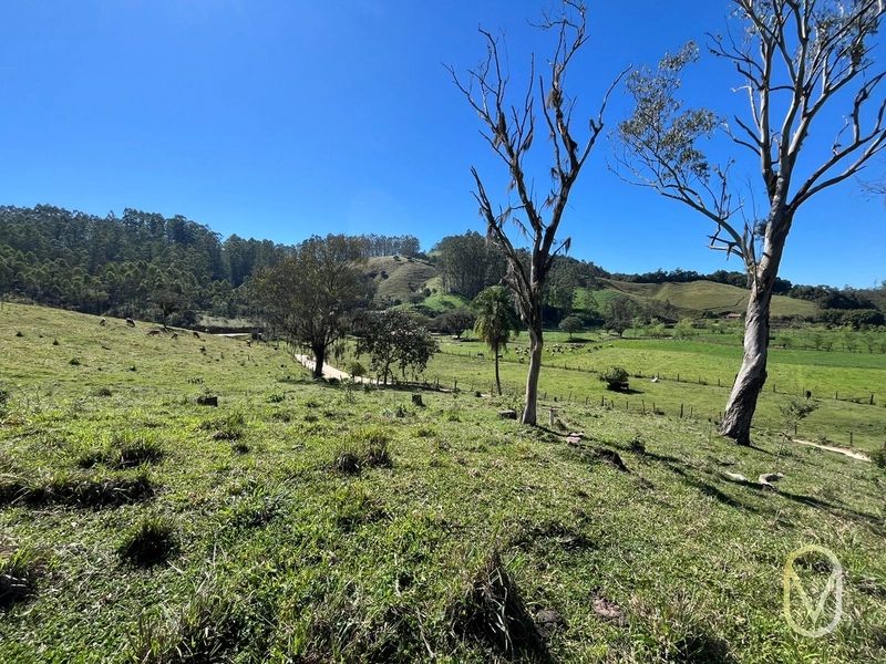 Terreno de 41 hectares á Venda em São Martinho-SC: 38ª foto da galeria de imagens do imóvel
