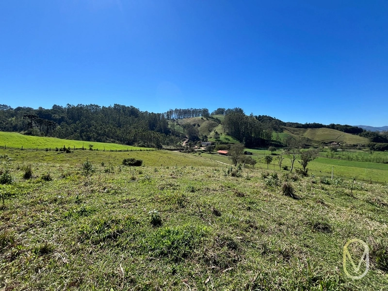 Terreno de 41 hectares á Venda em São Martinho-SC: 33ª foto da galeria de imagens do imóvel