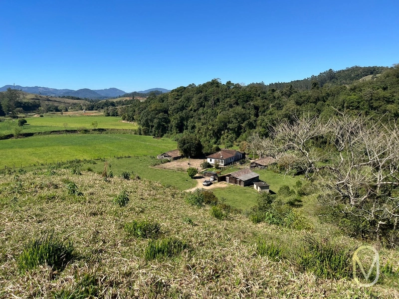 Terreno de 41 hectares á Venda em São Martinho-SC: 34ª foto da galeria de imagens do imóvel